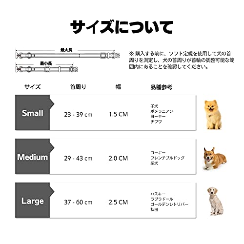 首輪 6