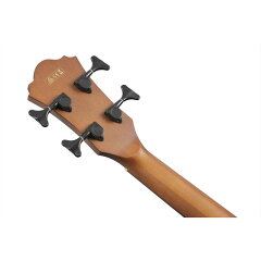 Ibanez AEGB24E 7