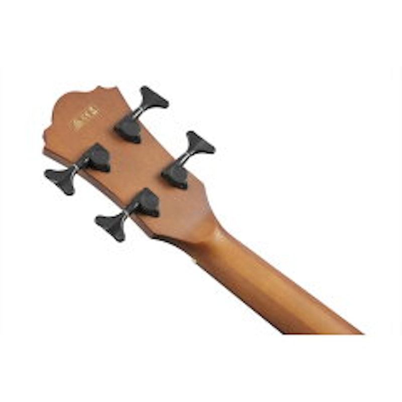 Ibanez AEGB24E 7