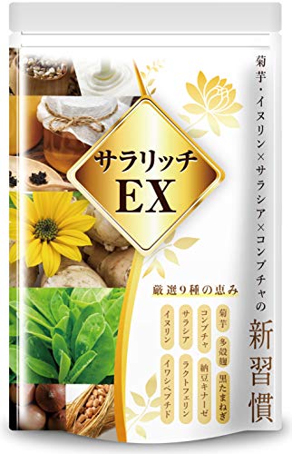 サラリッチEX 1