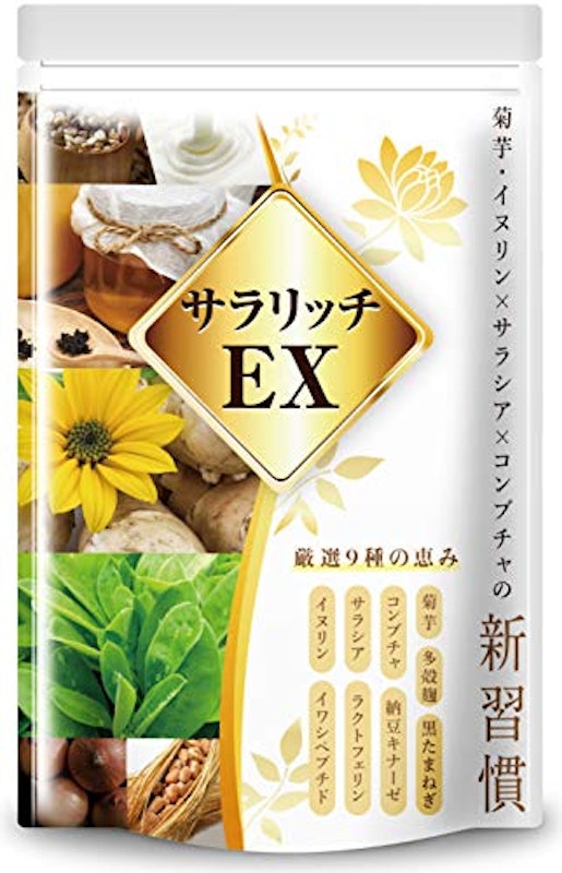 サラリッチEX 1