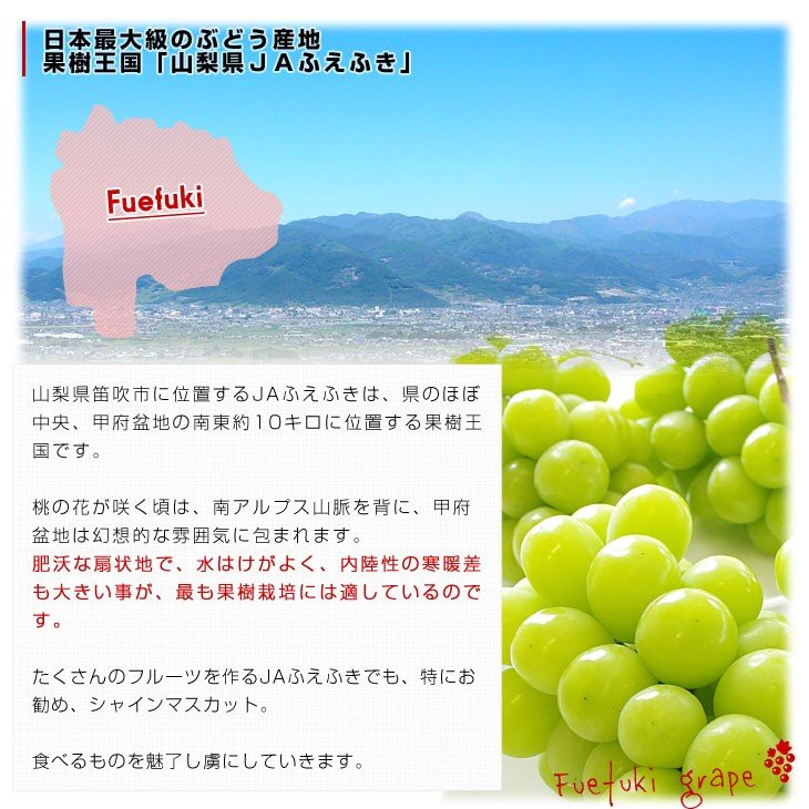 山梨県産 シャインマスカット 4