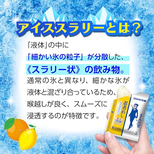 アイススラリー すっきり柑橘味 4