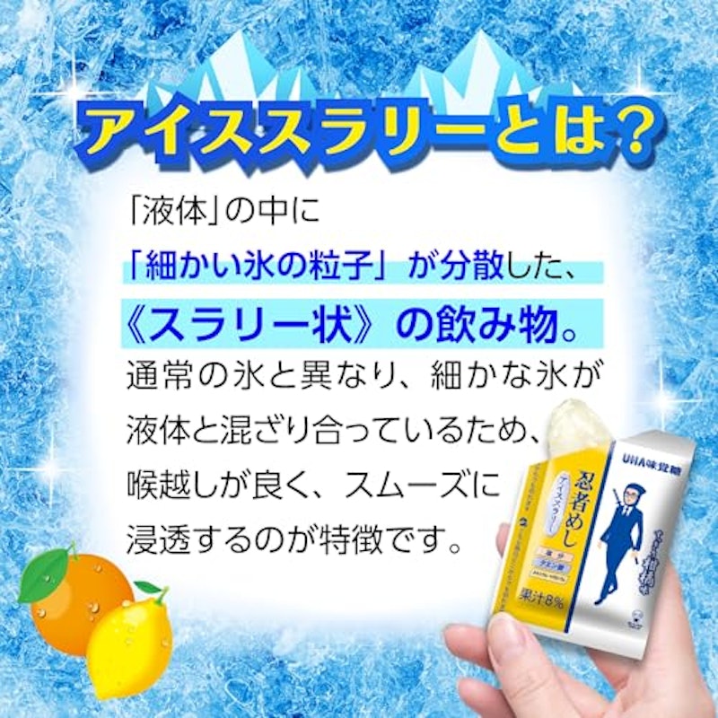 アイススラリー すっきり柑橘味 4