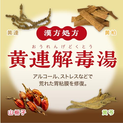 大正漢方胃腸薬 内服液 6