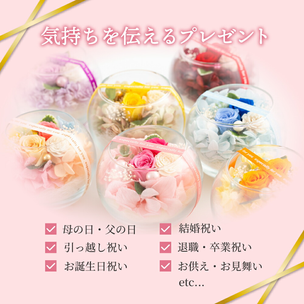 プチヴェールローズ 5