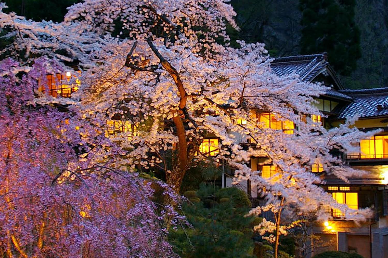 会津東山温泉 向瀧 6