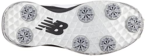 FuelCell 1001 v4 BOA(R) W 4