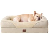 犬用ベッドのおすすめ人気ランキング【2026年10月】 5