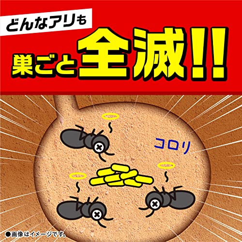 コレクション アリ塚の駆除ベスト