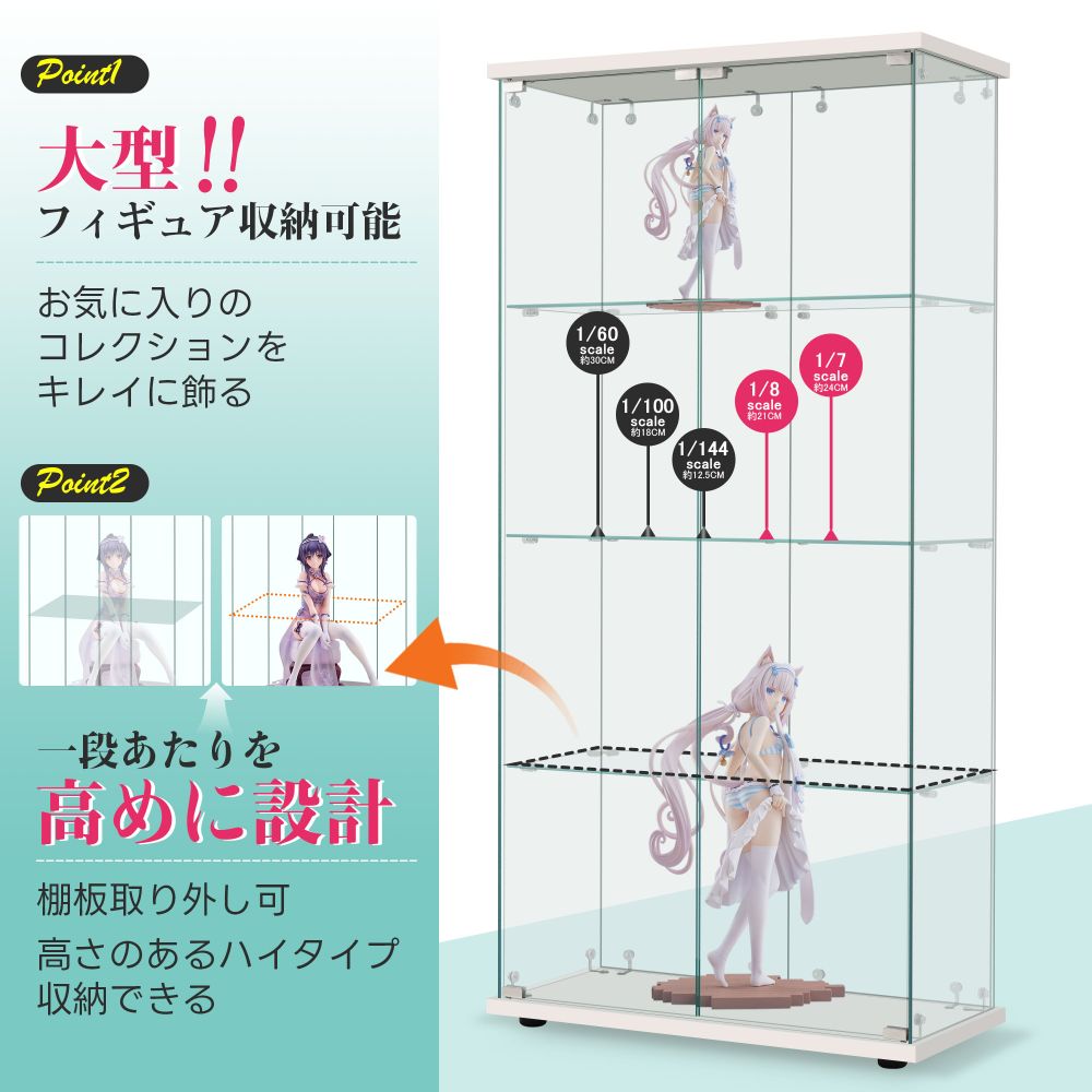 大型コレクションケース 2