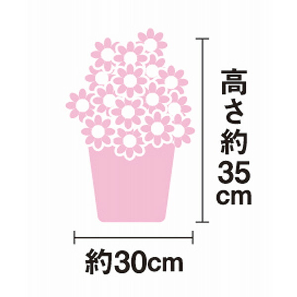 アジサイ鉢植え マジカルレボリューション 2