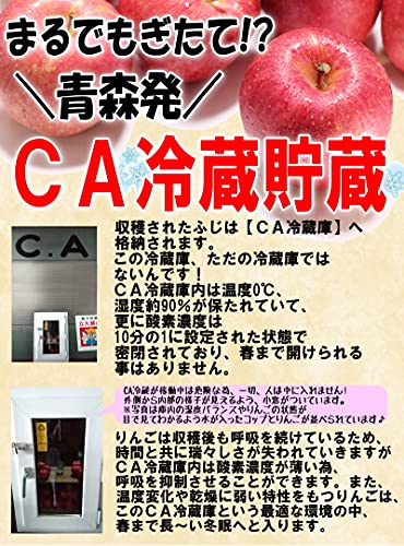 りんご ふじ 訳あり 3