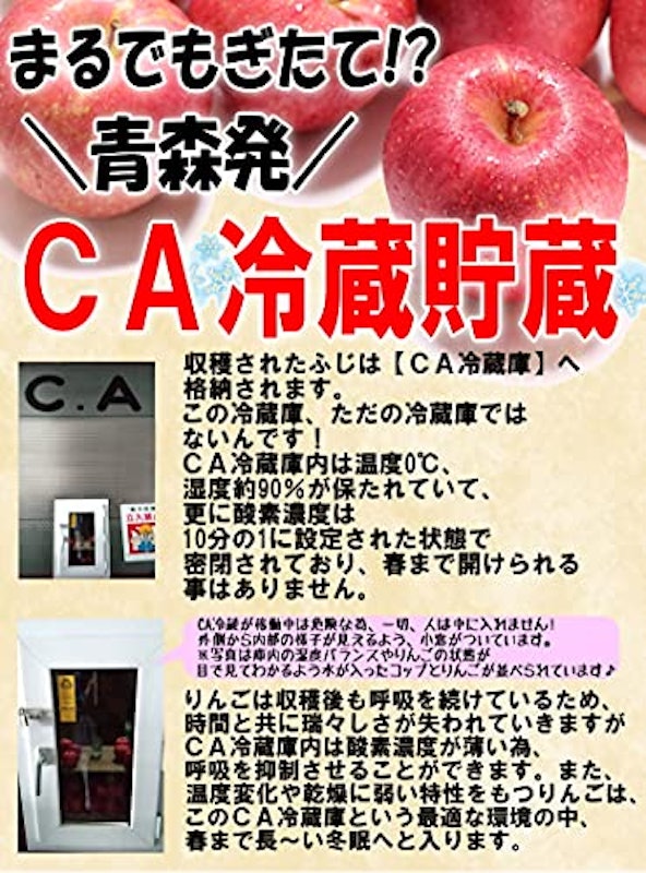 りんご ふじ 訳あり 3