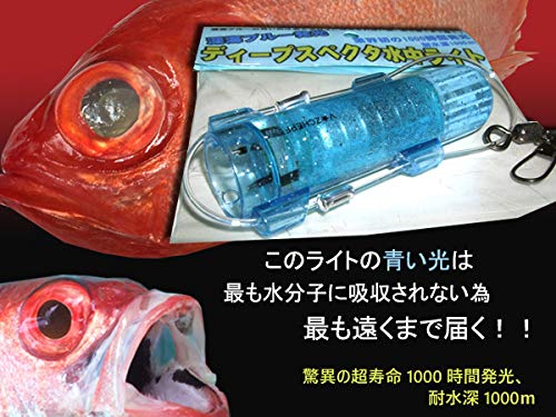 ディープスペクタ 水中ライト 2
