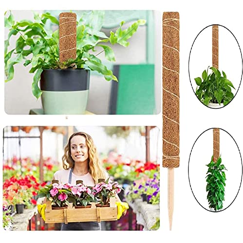 wuxizhou 植物支柱 2