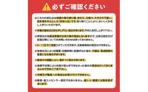 訳あり りんご 昂林 4