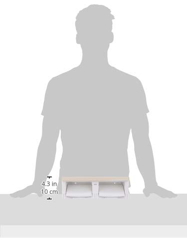 二連紙巻器 木質棚付き 3