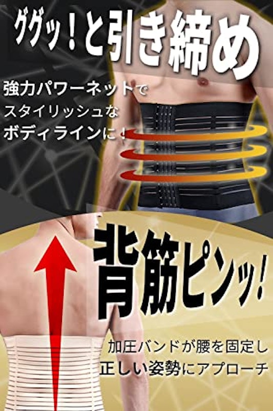 加圧ベルト 2