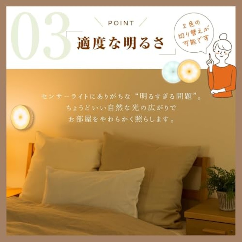 センサーライト 5