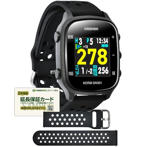 NORM GN301 1