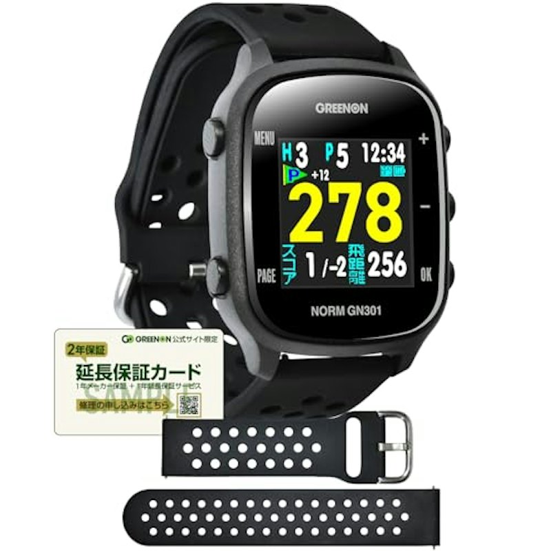 NORM GN301 1