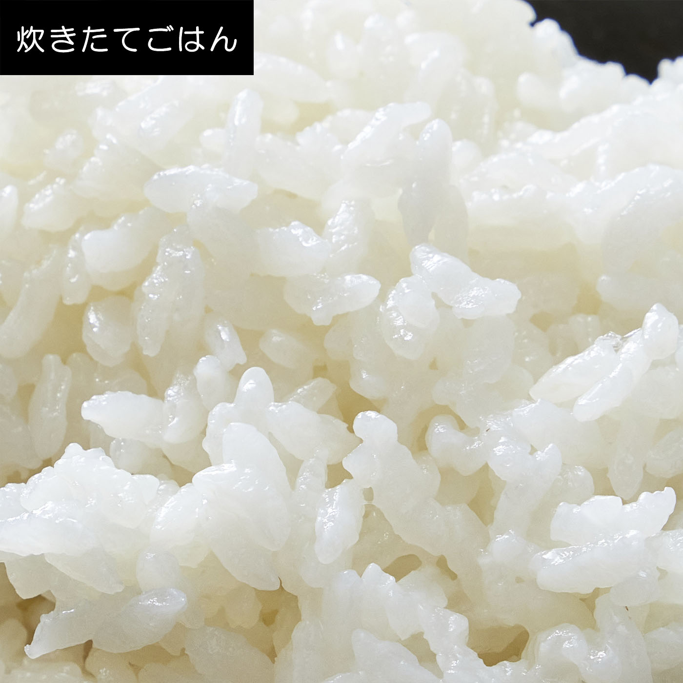 蒸気レスIH 9