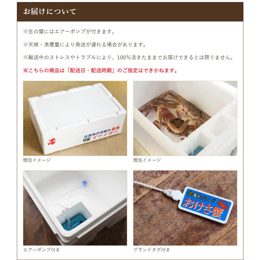 活本ズワイガニ「おけさ蟹」 3