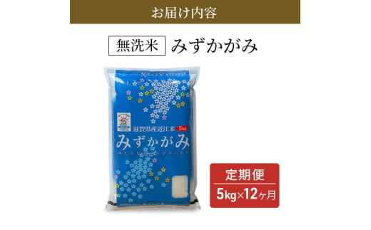 みずかがみ BG無洗米 定期便 4