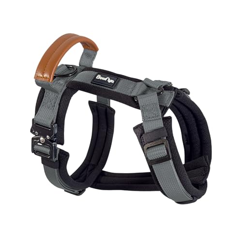 KOKOCHI Harness 1