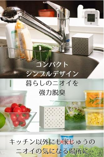 強力脱臭剤キャッチシューPRO 2