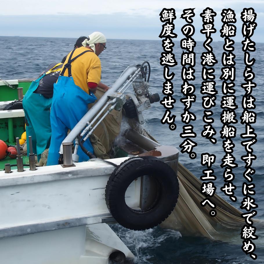 釜揚げしらす 5