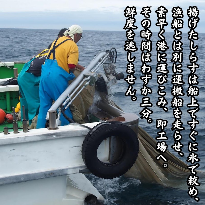 釜揚げしらす 5