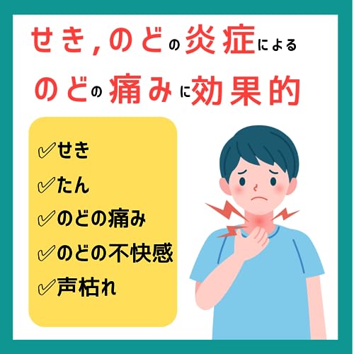 セキトローチ 3