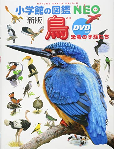 野鳥図鑑のおすすめ人気ランキング10選 鳴き声を聴けるものも Mybest