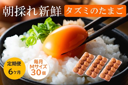 定期便　タズミの卵（30個×6ヶ月） 1