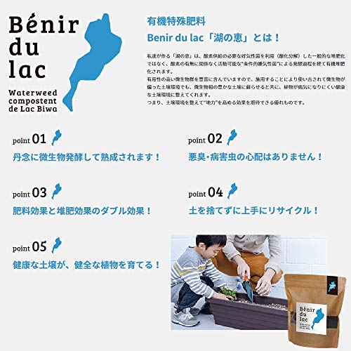 湖の恵 9