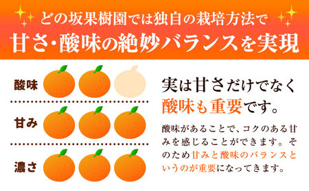 早生みかん 3