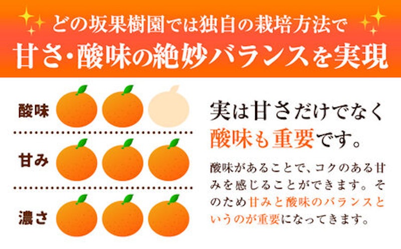 早生みかん 3