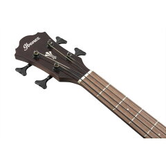 Ibanez AEGB24E 6