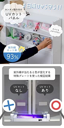 コレクションケース 5