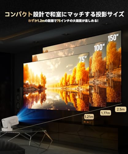 家庭用プロジェクター 5