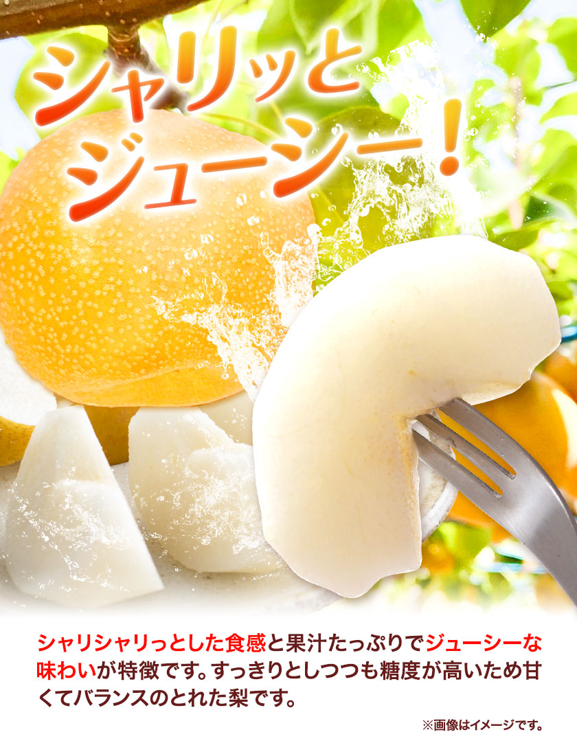新甘泉 赤秀 3