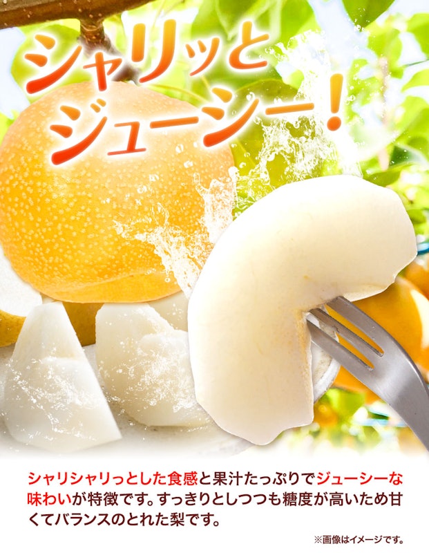 新甘泉 赤秀 3