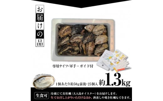 真ガキ 大入島オイスター 4