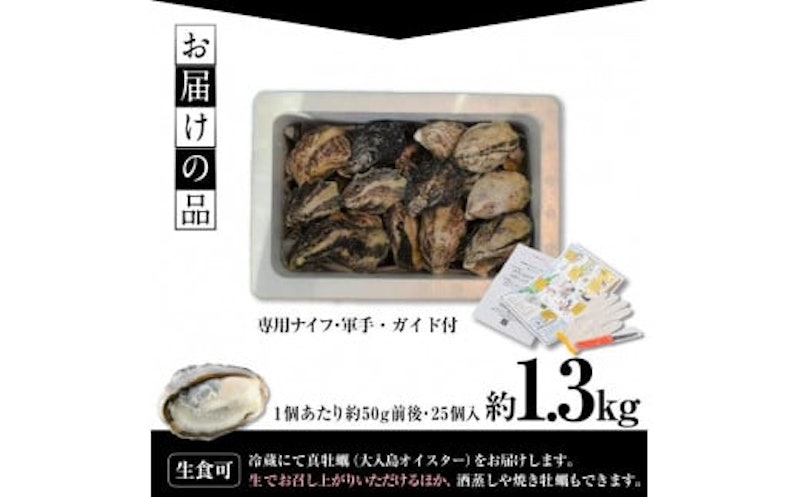 真ガキ 大入島オイスター 4