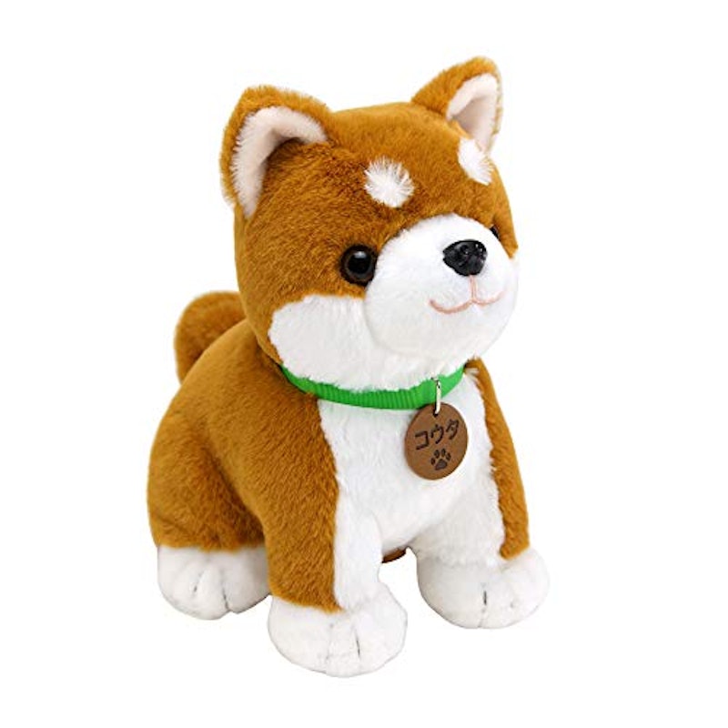 こんにちワン!しばいぬコウタ 1