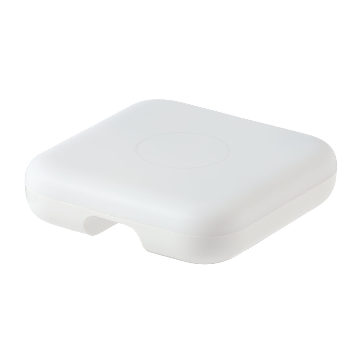 Nature Remo nano 1