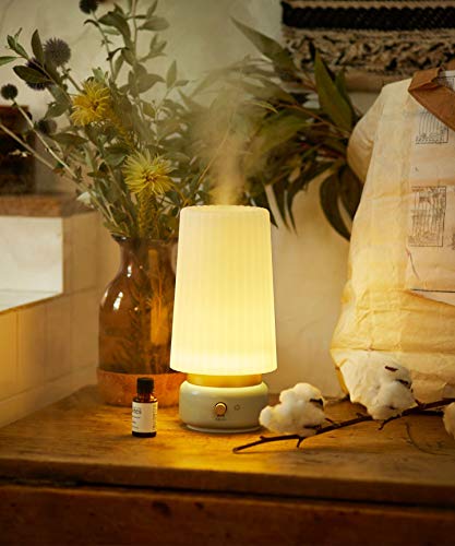 超音波アロマ加湿器LAMP MIST 2