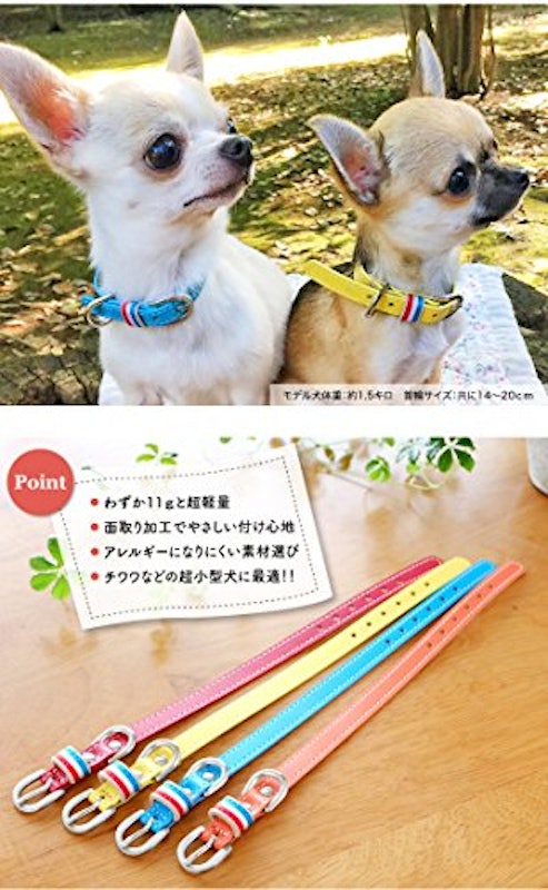 超小型犬・小型犬専用首輪 2